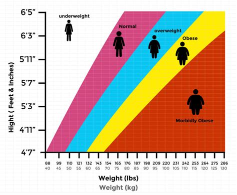 Body Mass Index Calculator For Menwomen Indian Bmi Chart