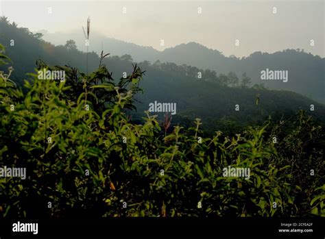 Java Mountain Hi Res Stock Photography And Images Alamy