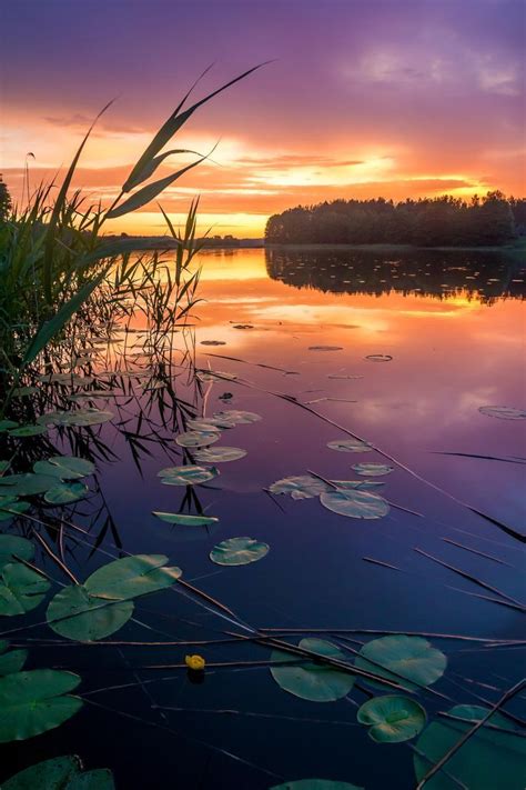 Coiour My World “colorful Sunset By Karel Triska ” With Images