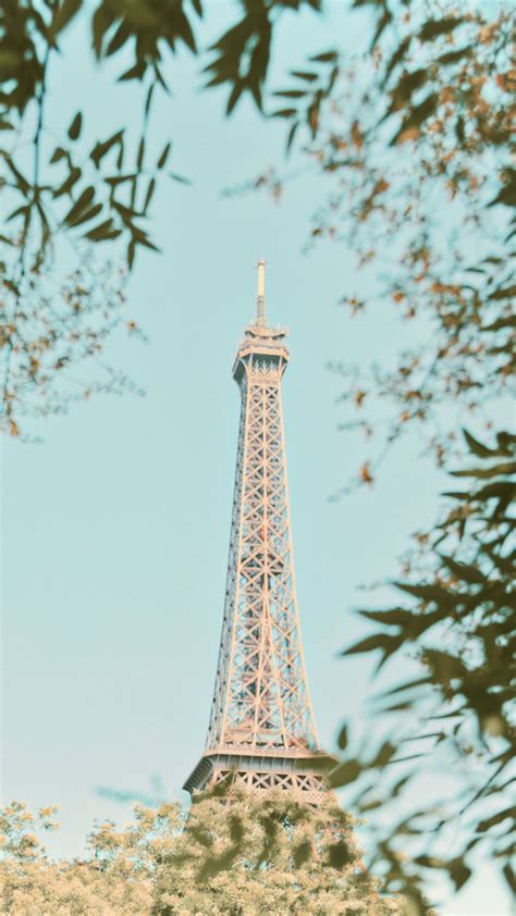 Download Wallpaper 1080x1920 Eiffel Tower Tower Branches Trees
