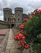 Il Castello di Windsor, la residenza di campagna della Regina ...