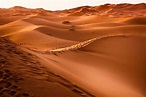 Deserto del Sahara: Posizione, tempo, temperatura e paesi che coprono ...