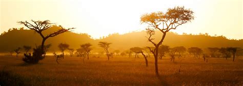 10 Best Places To Go In Africa And What To Do There