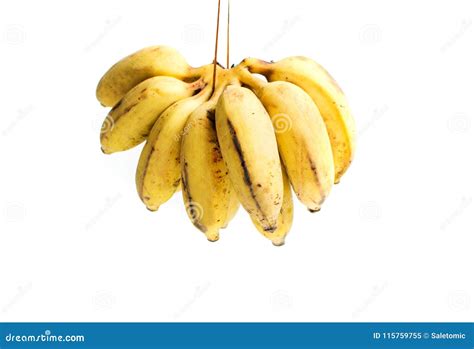 Small Tropical Banana Cluster Isolated On White Stock Image Image Of