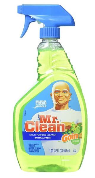 Mr Clean Multi Purpose Spray With Gain Original 1source