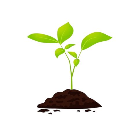 Planta verde jovem crescendo do solo ilustração em vetor Vetor Premium