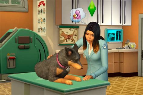 Perros Y Gatos En Los Sims 4 Cómo Adoptar Y Cuidar A Tu Mascota Para