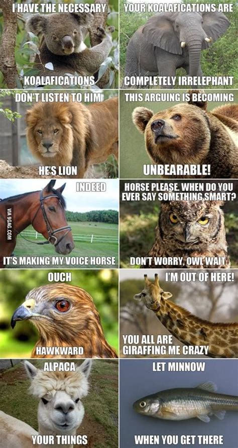 Animals 3 Funny Animal Jokes Animal Jokes Funny Animal Quotes