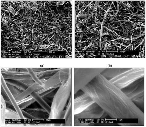 Figure From Textile Fiber Produced From Sugarcane Bagasse Cellulose