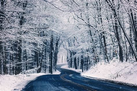 Empty Road With Withered Trees Covered In Snow Road Landscape Winter