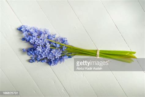 Bluebell Bouquet High Res Stock Photo Getty Images