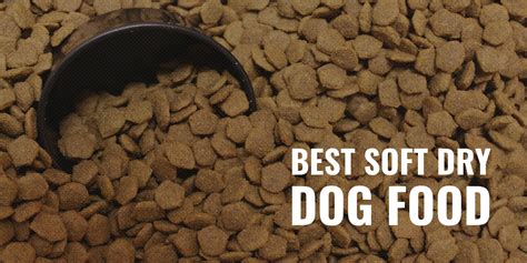 15 Best Soft Dry Dog Food 2024 Reviews Ingredients And Palatability