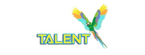 Talent Logo Design Cheap Website Design Melbourne You Go Designs