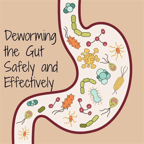 Deworming The Gut Safely And Effectively Healthy Home Economist