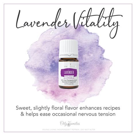 Lavender Vitality Essential Oil Abundance In Simplicity