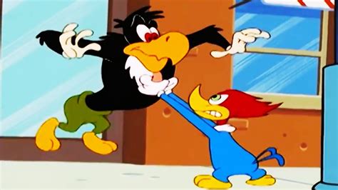 Super Woody Woody Woodpecker Show 1 Hour Compilation Mini Moments