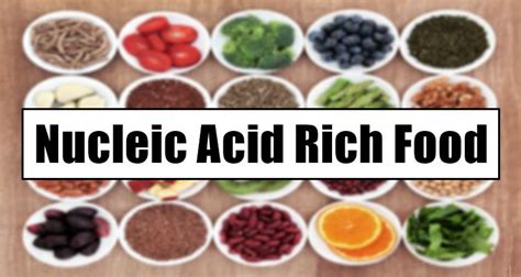 Nucleic Acid Rich Food What Are The Foods Rich In Nucleic Acid