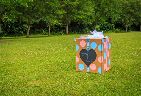 Gender Reveal Party Sparks A Wildfire — And A Backlash To The