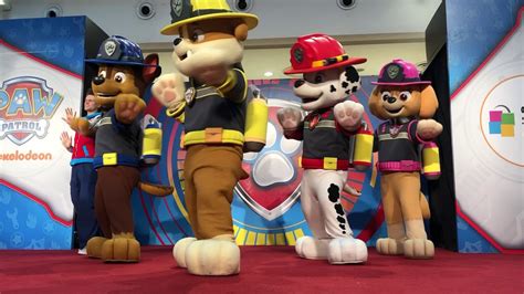 Paw Patrol Live Show At City Square Mall June 2019 Youtube