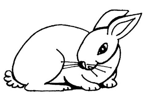 Kostelijk konijn klaarmaken doe je makkelijk met 1 van deze 7 recepten: Get This Easy Rabbit Coloring Pages for Preschoolers 8PS18