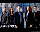 CSI New York Wallpapers - Top Free CSI New York Backgrounds ...
