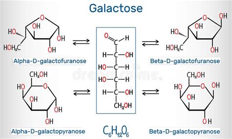 Tautomeric Formen Von D Galaktose Milchzucker Alpha D Galactofuranose
