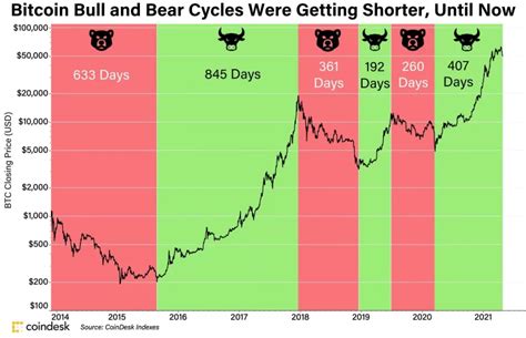 How To Survive The Crypto Crash And Induce Long Term Profits Cryptolinks