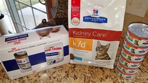 Should I Feed My Healthy Cat Prescription Food Exploring The Benefits