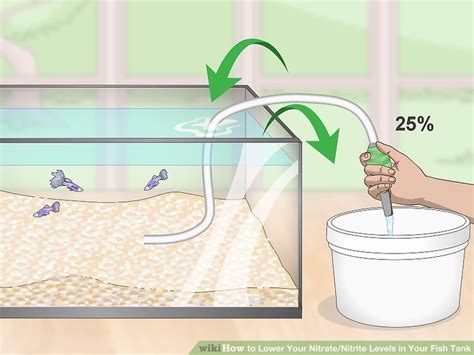 How To Lower Your Nitratenitrite Levels In Your Fish Tank