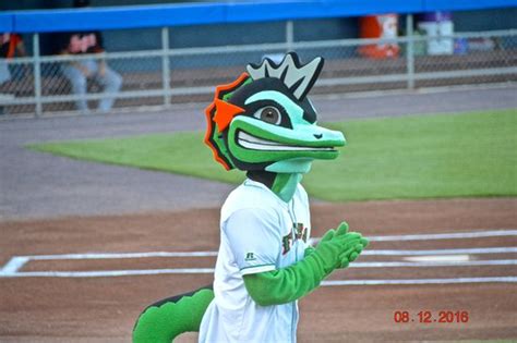 Information about norfolk state university spartans, a college team from norfolk, virginia, including website, logos and social media links. Some pictures of Harbor Park, home of the Tides - Harbor ...