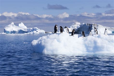 Reisen & Expeditionen in die Arktis & Antarktis - MESO Reisen