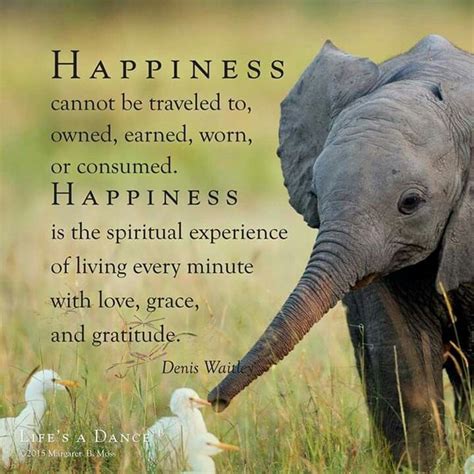 Pin By Brenda Melton On Quotes And Other Sayings Elephant Quotes