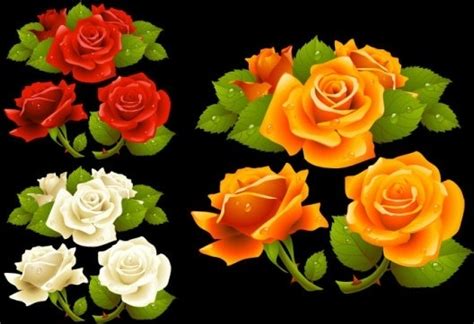Rose day images for whatsapp dp profile wallpapers free download. Rose free vector download (1,075 Free vector) for ...