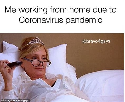 Covid Work From Home Memes That Will Crack You Up News Hot Sex Picture