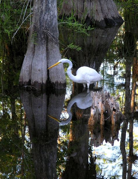 Park Air Profiles Everglades National Park Us National Park Service