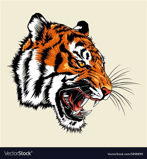 Tiger Vector Side Face Peepsburghcom