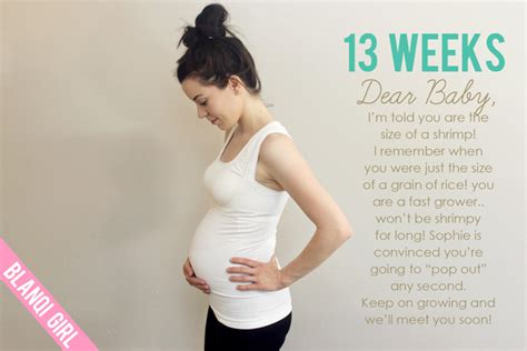 Fertility Treatment Center Ivf Success Rates Pregnancy 13 Weeks Chance