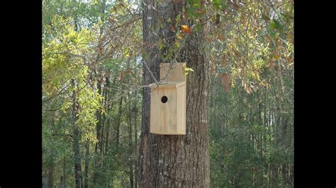 Build in a way to access the inside of the birdhouse to clean it put periodically (i.e. Build a simple Birdhouse - YouTube