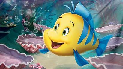 Mermaid Flounder Disney Ariel Wiki Wikia Character