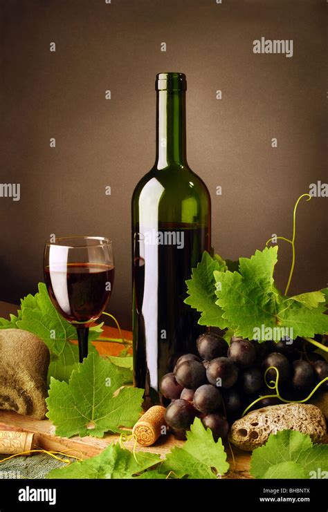 Still Life With Red Wine Bottle Glass Grapes And Fresh Grapevine
