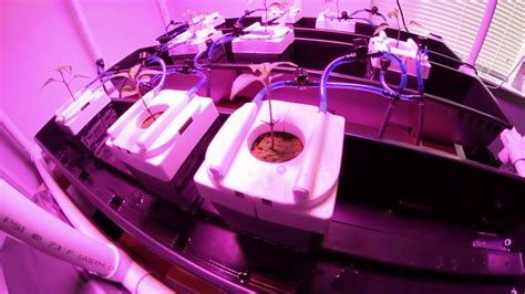 Hydroponics Leach Tray Setup Mars Hydro Masterblend 4 18 38 Groslab