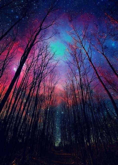 Beautiful Pink Starry Night Bing Images Scenery Nature Photography
