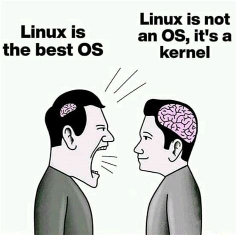 Linux Rprogrammerhumor