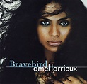 Amel Larrieux : Bravebird (CD) -- Dusty Groove is Chicago's Online ...