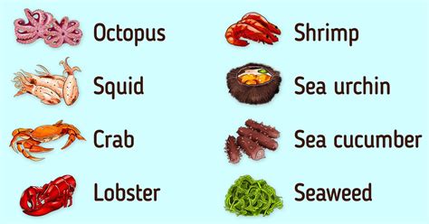 A Guide To Different Types Of Seafood 5 Minute Crafts