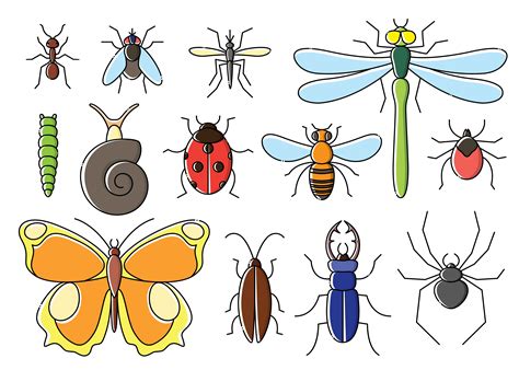 Cartoon Insects Drawing