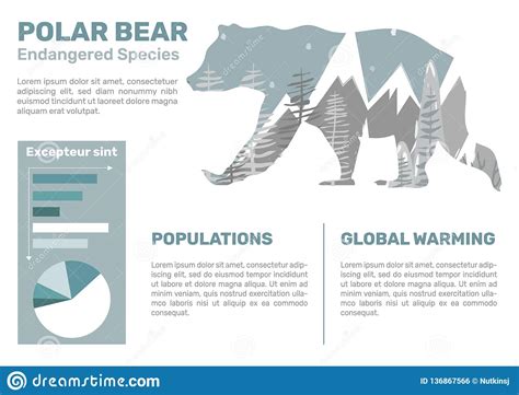 Polar Bear Infographic Stock Vector Illustration Of Nature 136867566