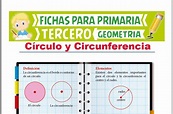 Circunferencia y Círculo para Tercer Grado de Primaria | Actividades 2024