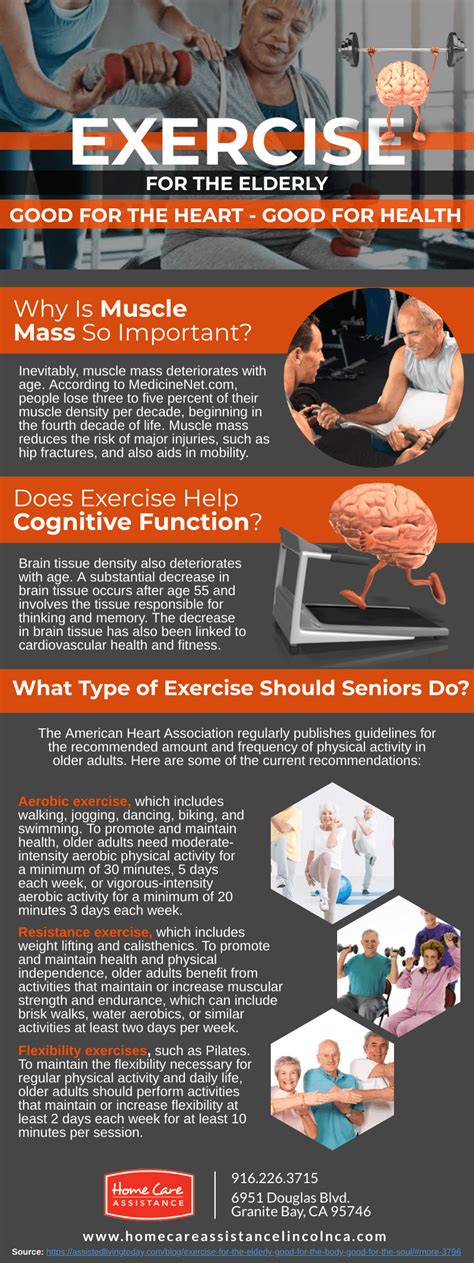 Exercise For The Elderly Infographic