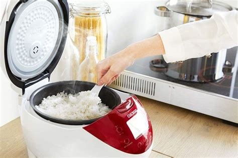 The Best Japanese Rice Cookers For Your Kitchen In